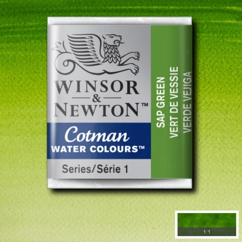 Acuarelas Winsor & Newton - Pastillas (CWC 1/2 PAN - Cotman Water Colours  Half Pan)